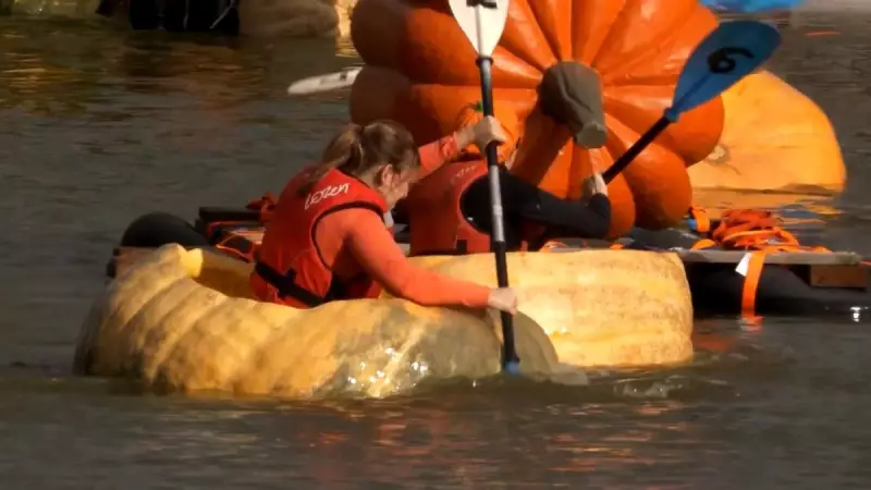 Abóboras Gigantes Viram Canoas em Competição Inusitada nos EUA: Tradição Anual Atrai Multidões