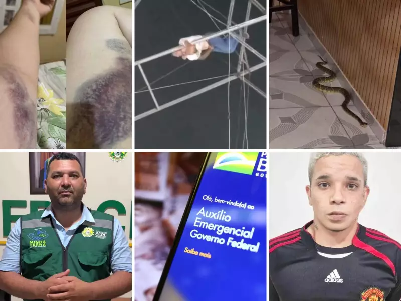 Acre em Alerta: Cobra Jararaca Encontrada Dentro de Casa Após Queda de Roda-Gigante Assustadora