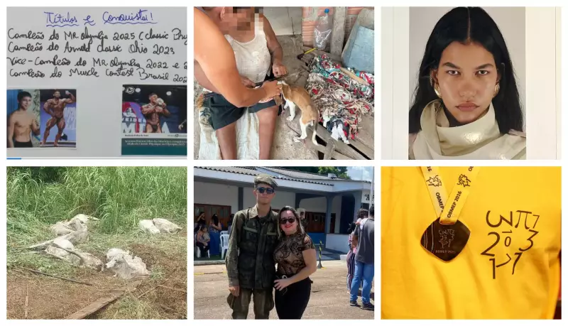 Acre Vive Semana de Contrastes: De Acidente com Animais a Celebração de Dino na Moda Mundial