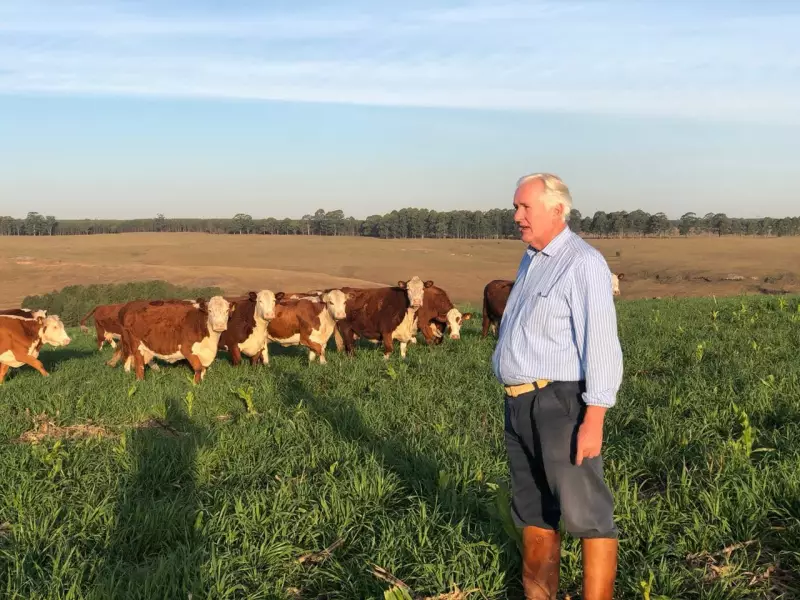 Aldo Vendramin: Como o Legado Familiar Está Revolucionando o Agronegócio com Tecnologia