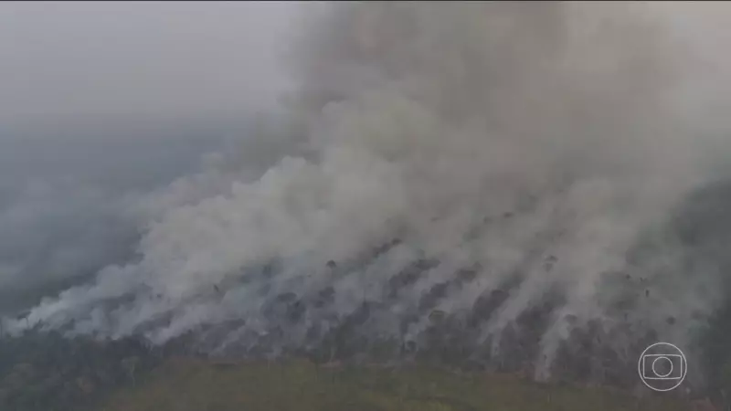 Alerta Climático: Estudo Revela que Mundo Falha Gravemente nas Metas do Acordo de Paris