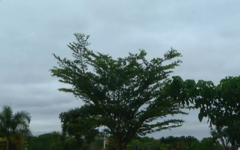 Alerta em Goiás: Frio intenso pela manhã e tempestades ameaçam mais de 40 cidades