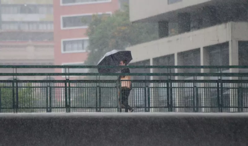 Alerta Máximo: São Paulo em Estado de Atenção para Chuvas Intensas e Ventania de até 100 km/h
