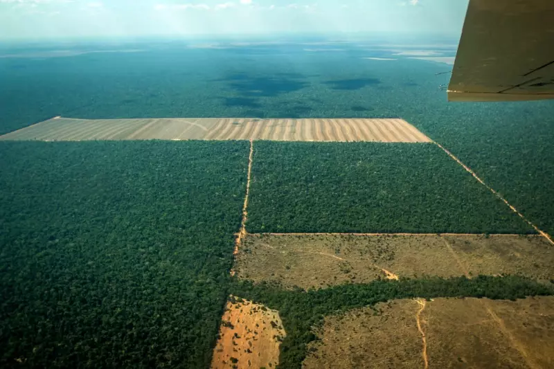 Alerta na Amazônia: Mato Grosso é o único estado com aumento no desmatamento, revela INPE
