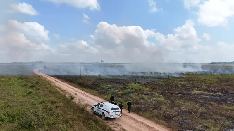 Amapá: Dupla é indiciada por incendiar floresta para roubar ovos de tartarugas | Crime ambiental