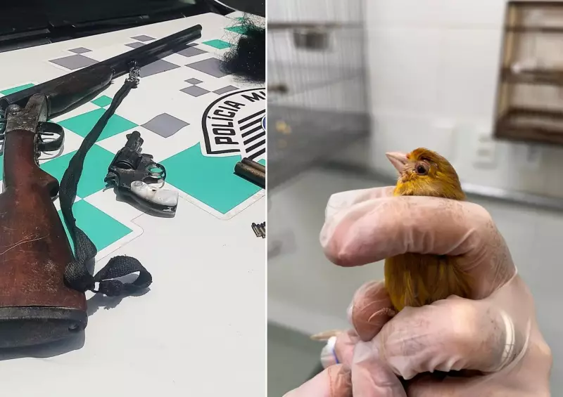 Apreensão de Aves Silvestres: Homem é Preso e Multado em R$ 50 Mil no Interior de SP