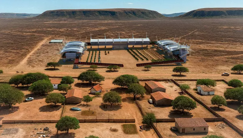 Arquitetos Enfrentam Crise Climática: Soluções Inovadoras Para Cidades Mais Resilientes