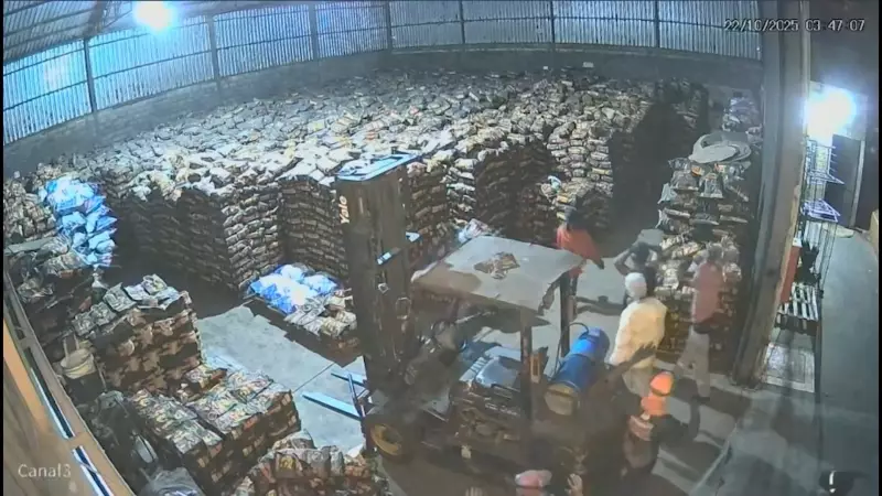 Assaltantes invadem empresa em busca de cofre, mas acabam roubando apenas soprador de folhas e lixadeira em Uberlândia