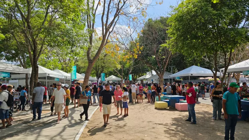 Assembleia Legislativa do Piauí Lança Projeto Inovador: Conheça os Detalhes que Prometem Transformar o Estado