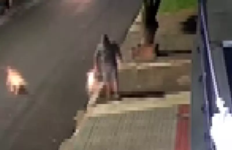 Ataque Brutal no Paraná: Homem Perde Visão e Orelha em Investida de Pitbulls que Fugiram de Casa