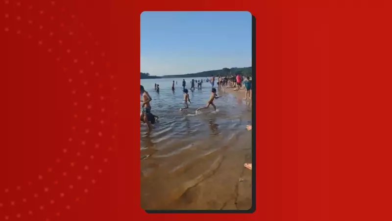 Ataque de Piranhas em Balneário do Amazonas: Banhistas Feridos em Cena Assustadora