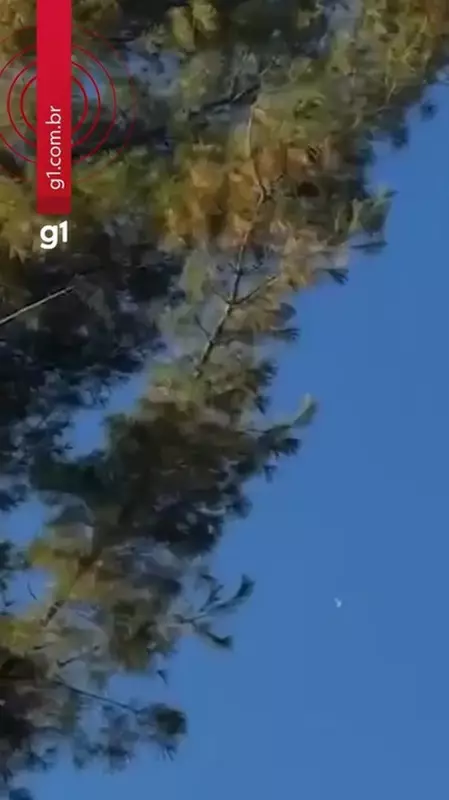 Avião Despenca do Céu nos EUA: Vígrafo Chocante Mostra Queda que Matou 3 Pessoas