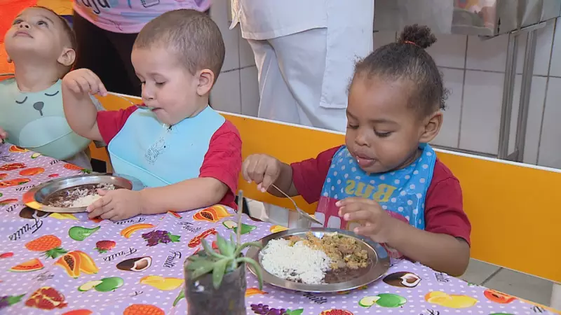 Banco de Alimentos do RS: 25 anos transformando vidas com mais de 300 milhões de refeições