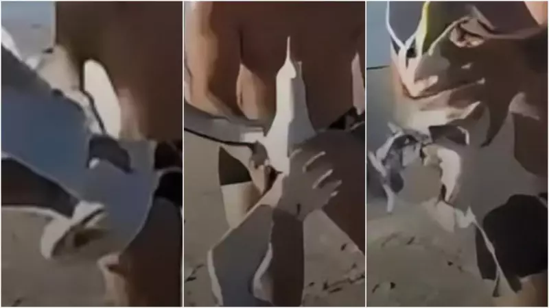 Banhista agarra gaivota em pleno voo em Cabo Frio: especialista alerta para riscos graves