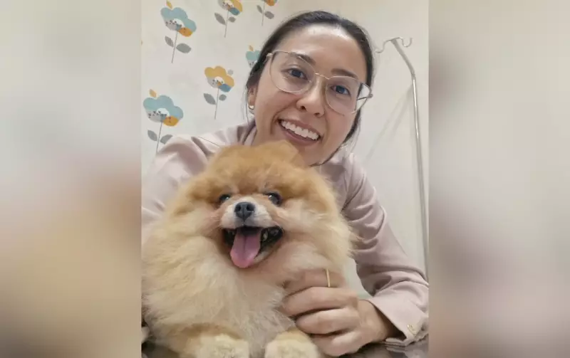 Banho em pets: veterinária revela frequência ideal e os perigos de exageros para a saúde do animal