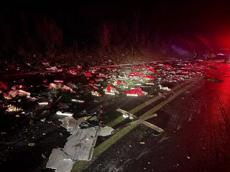 Batida entre Carretas Espalha Tabletes de Maconha pela BR-251 em MG | Carga Ilegal Escondida em Frango