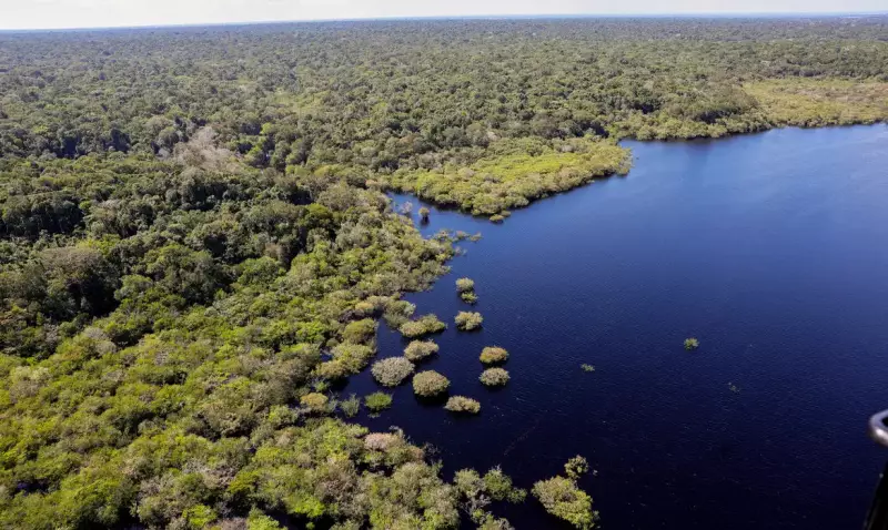 Biólogos Comemoram: Amazônia e Cerrado Têm Queda de 11% no Desmatamento