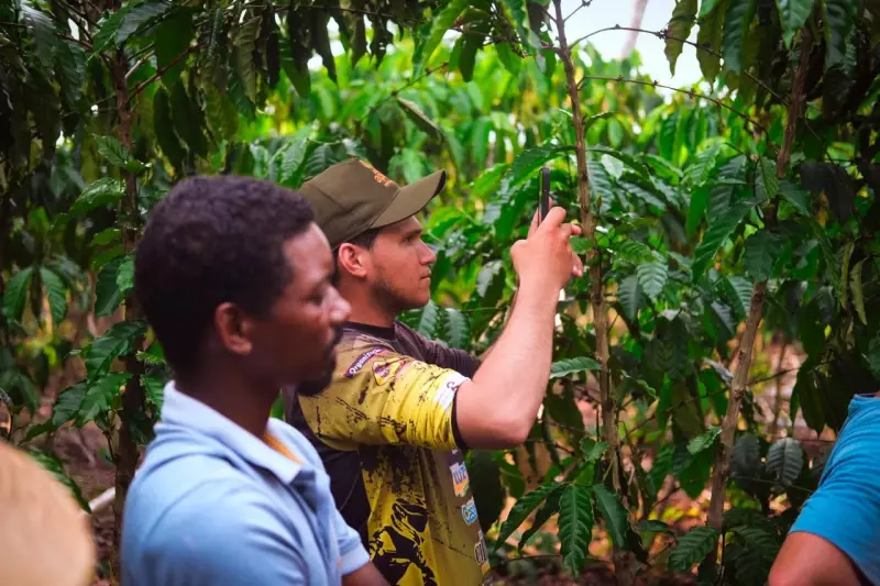 Bioeconomia na Amazônia: Projeto 'Contratos Justos' é modelo para COP30 em Belém