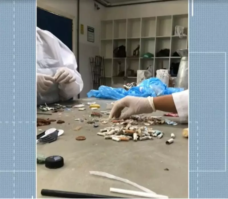 Bitucas de Cigarro Inundam Praias da Região dos Lagos: Estudo Revela Cenário Alarmante