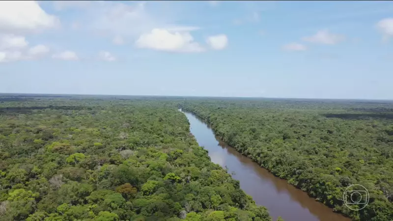Brasil atinge menor taxa de desmatamento em mais de uma década: Amazonia e Cerrado registram queda histórica