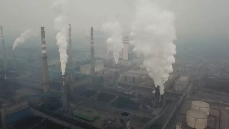 Brasil na Vanguarda do Mercado de Carbono: Oportunidade Bilionária e Liderança Global em Jogo