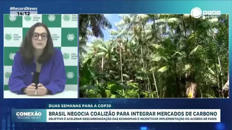 Brasil Negocia Aliança Global para Integrar Mercados de Carbono: Entenda o Impacto