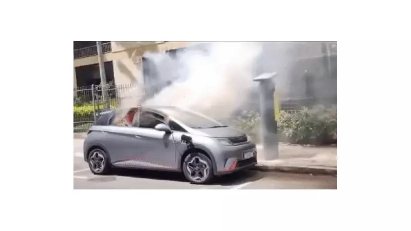 BYD Dolphin Pega Fogo Durante Recarga: Entenda as Causas e Como Evitar Acidentes