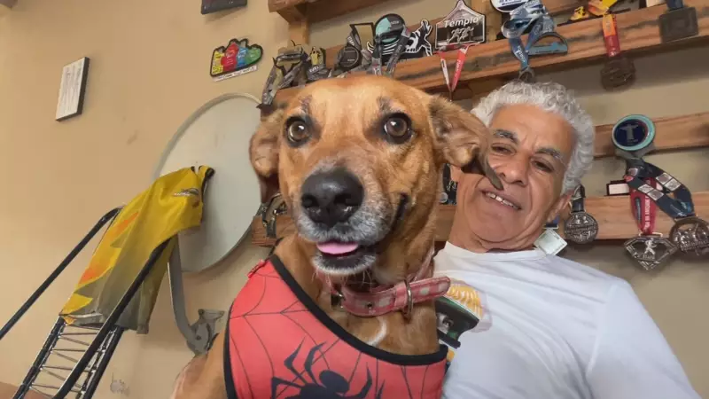 Cachorra Vira Companheira de Corrida de Atleta de 61 Anos e Conquista Pódios no Interior de SP
