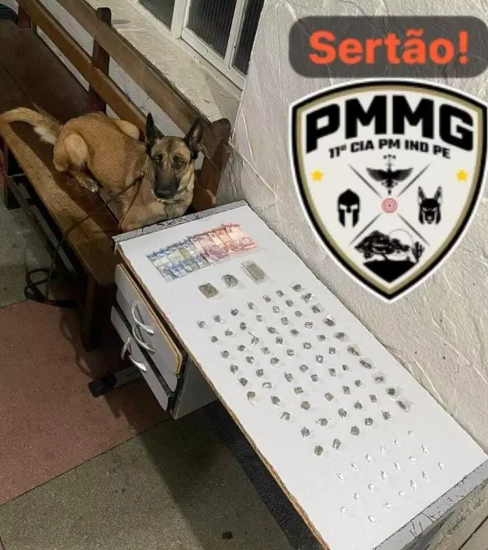 Cadela farejadora desvenda esquema: drogas escondidas em galinheiro e vaso sanitário em Montes Claros