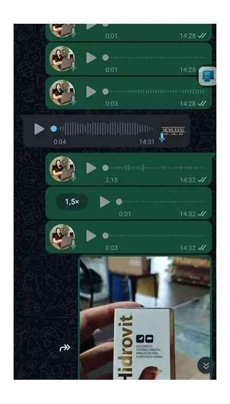 Calopsita 'hacker': Ave envia áudios e foto pelo WhatsApp da tutora sem que ela perceba e vídeo viraliza