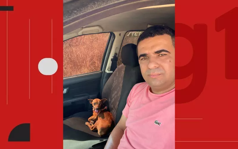 Caminhoneiro Herói: Encontra Cachorro Ferido em Rodovia da Bahia e Dá Um Final Feliz ao Pet