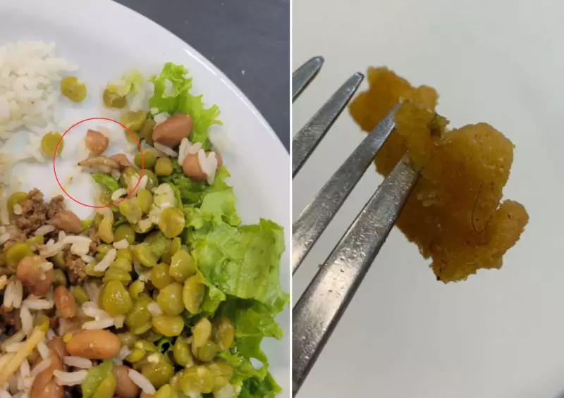 Carrefour Condenado a Pagar R$ 50 Mil Por Servir Refeição com Larvas e Insetos a Funcionária