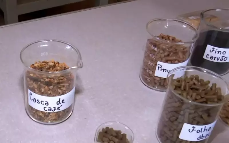 Casca de café vira energia: pesquisa da UFLA transforma resíduo em biocombustível sustentável