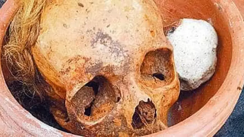 Caso Macabro em SP: Polícia Encontra Mais de 12 Crânios e Ossadas Humanas em Apartamento