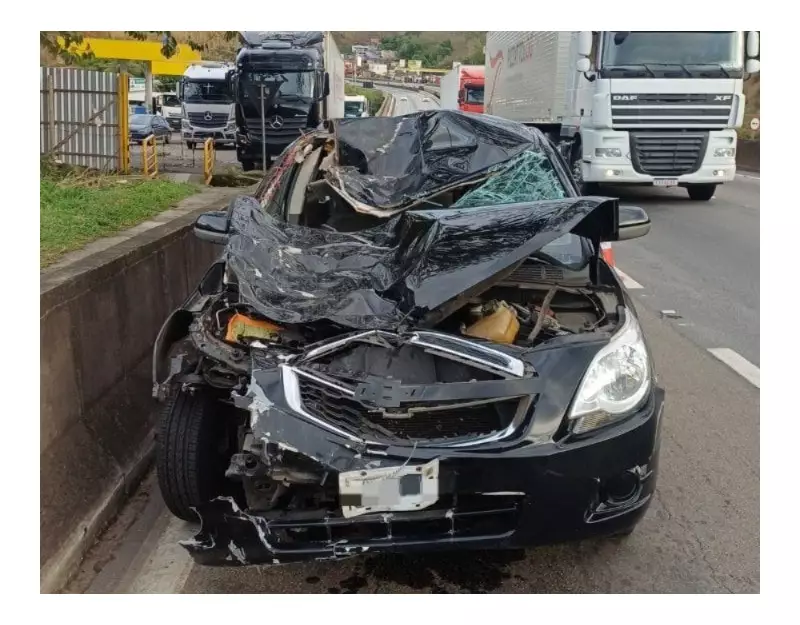 Cavalos Atropelados na Dutra: Acidente Inusitado Interrompe Tráfego em Barra Mansa