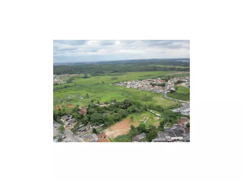 Cidades Verdes: Estudo Revela Potencial Oculto de Regeneração Florestal nas Bordas Urbanas do Brasil