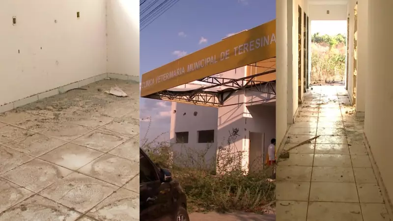 Clínica Veterinária de R$ 1 Milhão em Teresina: Obra Pública Abandonada Há Mais de Um Ano
