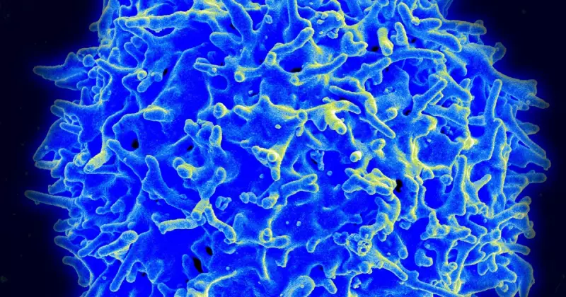 Câncer tem 'fonte secreta' de energia: estudo revela como tumor usa acidez para se alimentar e crescer