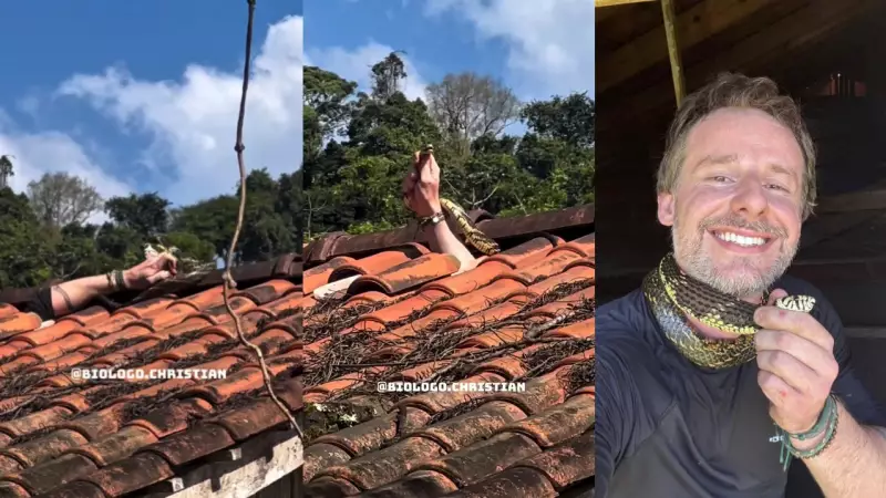 Cobra Mais Rápida do Brasil Ataca Biólogo em Resgate de Alto Risco; Veja o Vídeo Impressionante