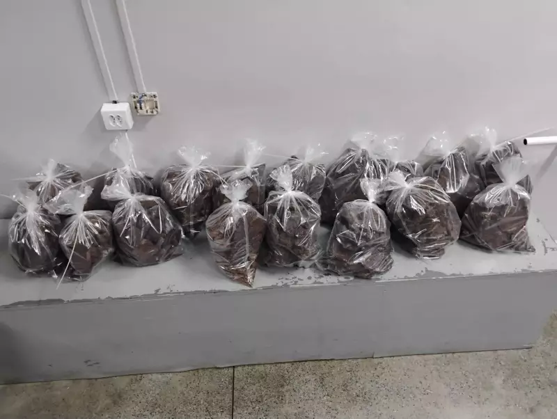 Cocaína Negra: Polícia desmonta esquema de drogas em mansão de luxo na Zona Oeste de Manaus
