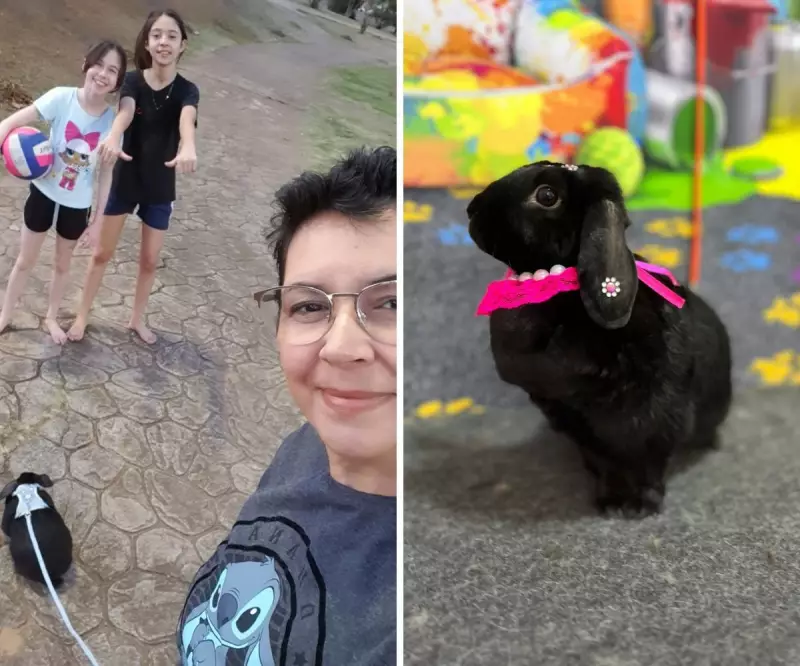 Coelho de apoio emocional surpreende tutora após 1 ano: Frederico na verdade é Frederica