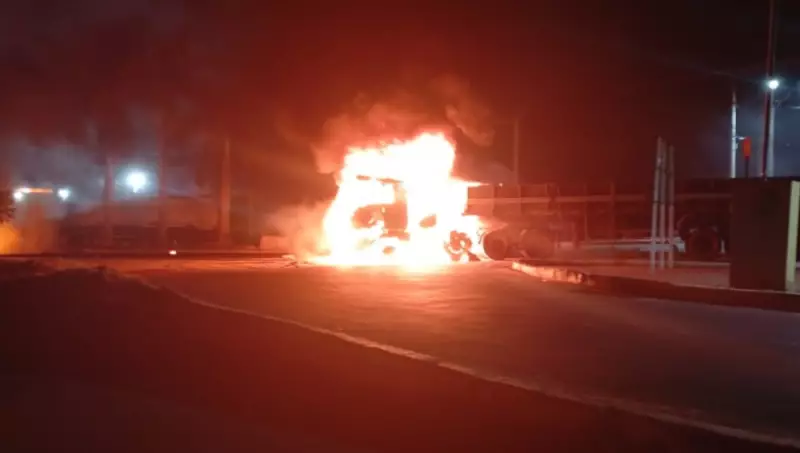 Colisão entre carretas provoca incêndio de grandes proporções na BR-262 e deixa dezenas de bois carbonizados