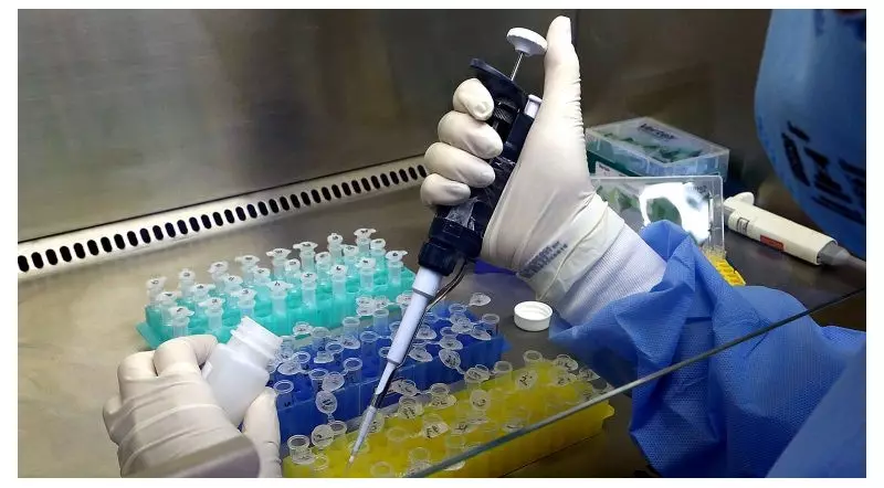 Contaminação Misteriosa em Hospital de Câncer no ES: Cronologia Completa do Caso que Assusta o Estado