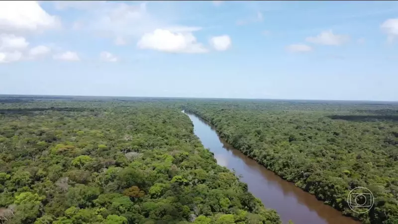 COP30: Brasil é o único país a investir em fundo florestal global; governo espera adesões durante conferência
