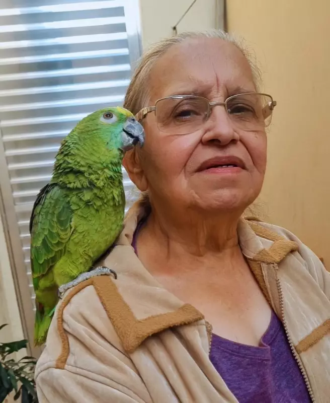 Coração em Luta: A Incrível Batalha de 42 Internações por Arritmia e Insuficiência Cardíaca