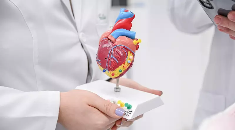 Coração Sob Pressão: 7 Hábitos Que Podem Salvar Sua Vida Cardiovascular