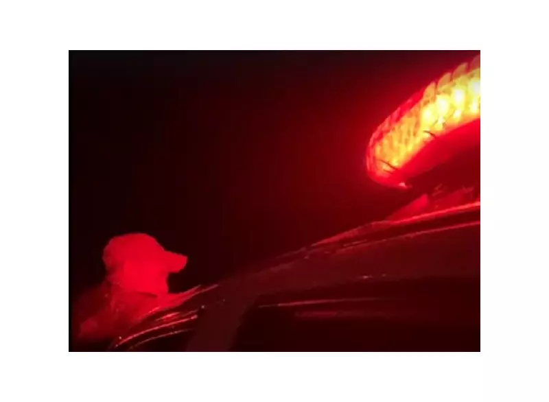 Criança é encontrada morta dentro de mala em frente a cemitério de Belém: caso choca a capital