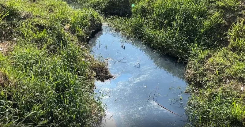Córrego vira esgoto a céu aberto e gera revolta de moradores em Campinas