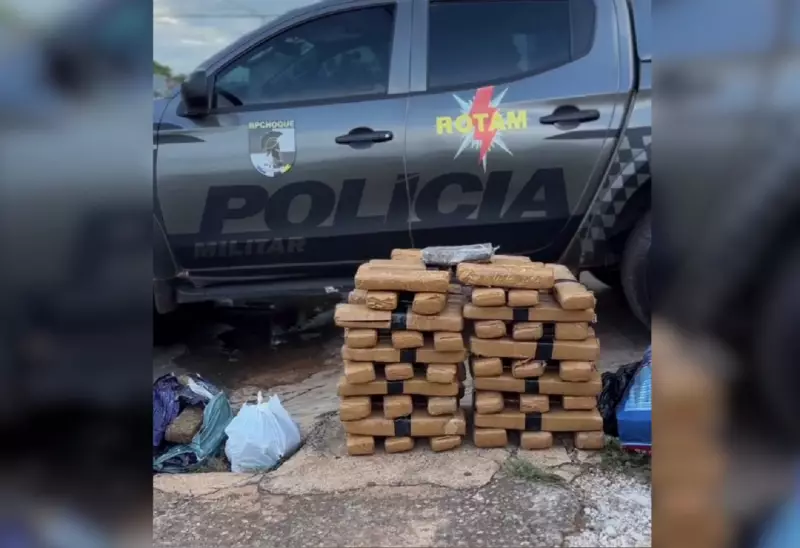 Denúncia Anônima Resulta na Apreensão de 81 kg de Maconha em Palmas: Operação Policial é Bem-Sucedida