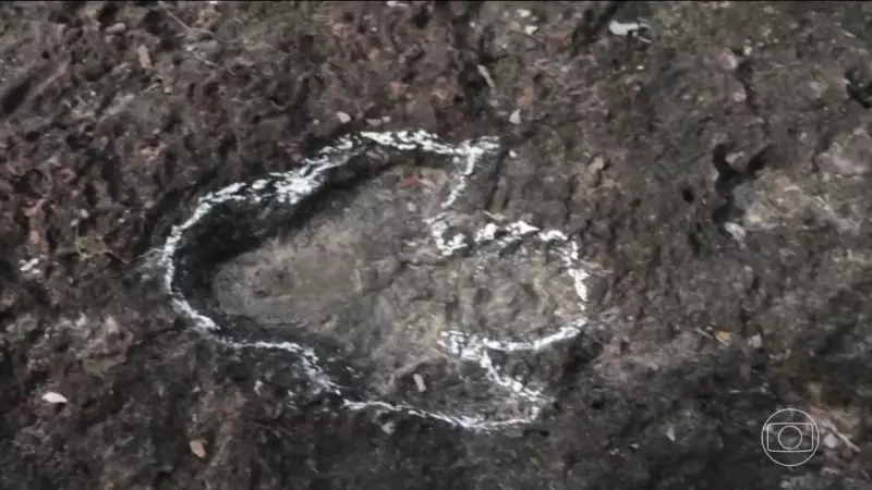 Descoberta Revolucionária: Pegadas de Dinossauros de 140 Milhões de Anos Encontradas na Amazônia